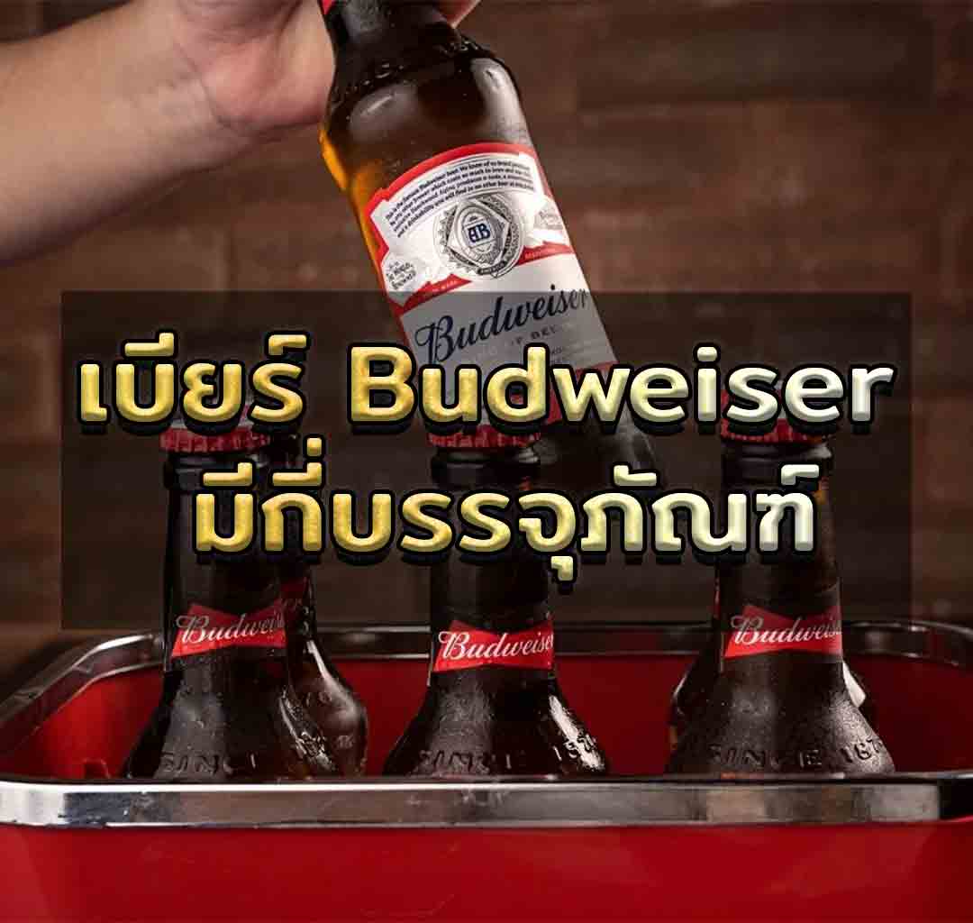 เบียร์ budweiser มีกี่บรรจุภัณฑ์